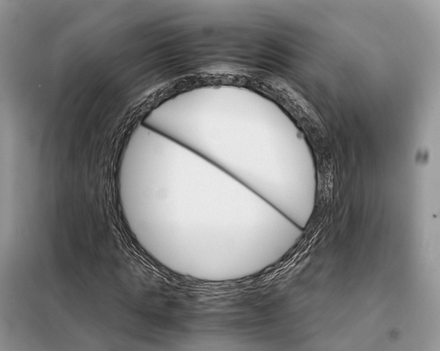 X0000098040821200804181254