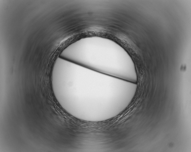 X0000098040822200804181254