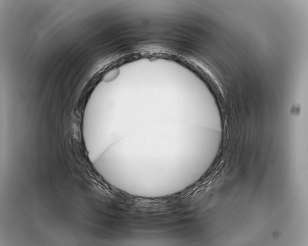 X0000098040823200804181254