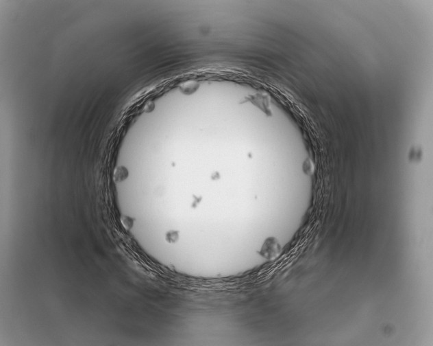 X0000098040824200804181254