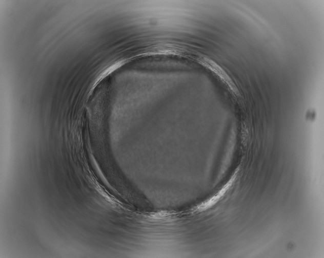 X0000098040826200804181254