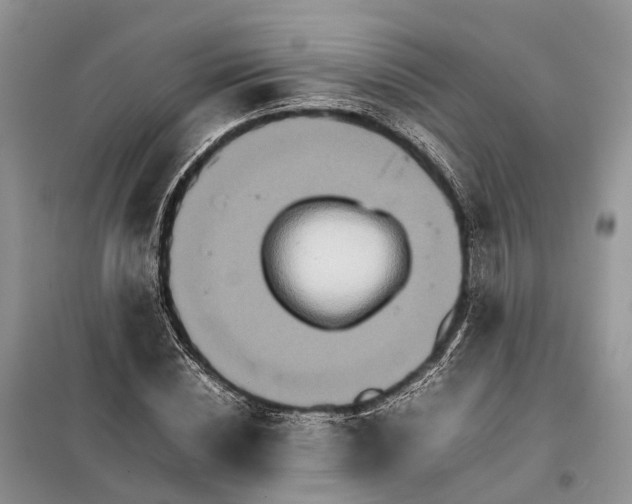 X0000098040828200804181254