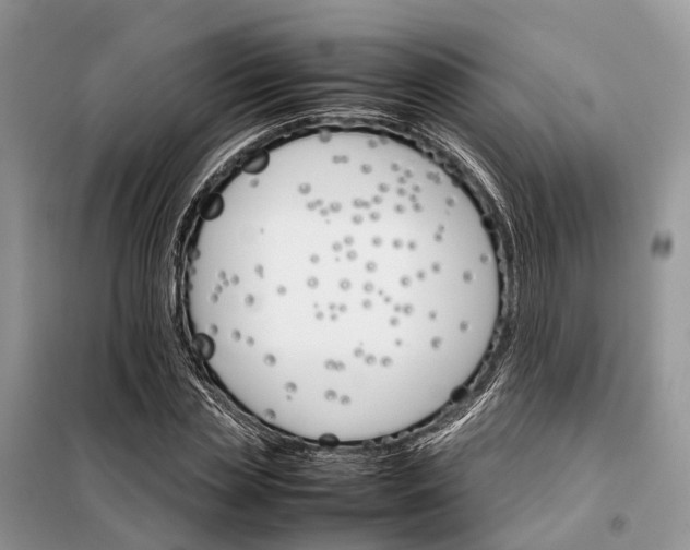 X0000098040829200804181254