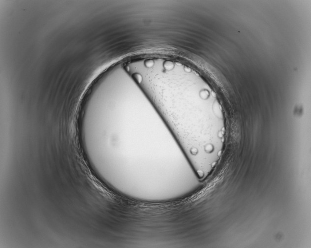 X0000098040830200804181254