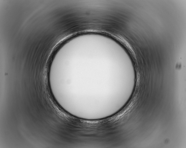 X0000098040831200804181254