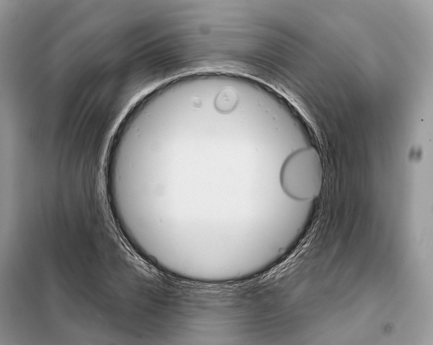 X0000098040832200804181254