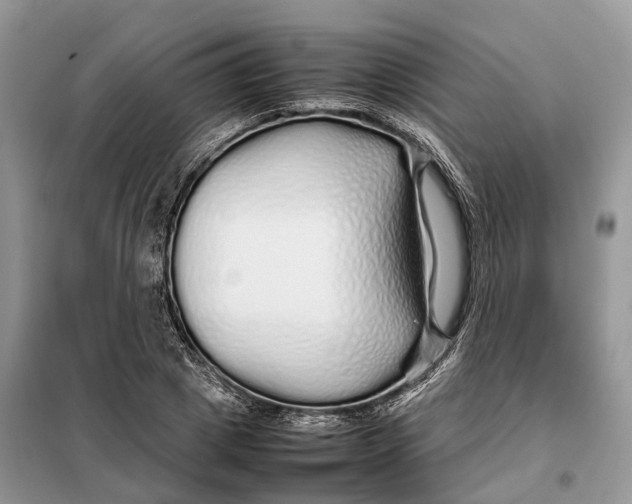 X0000098040833200804181254