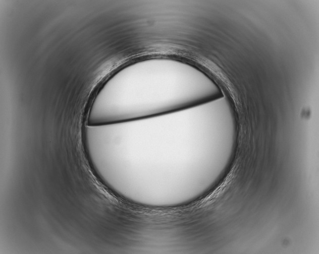 X0000098040834200804181254