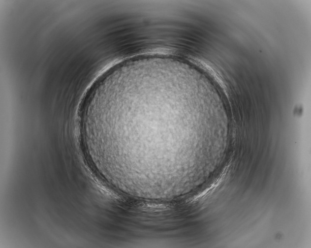 X0000098040835200804181254