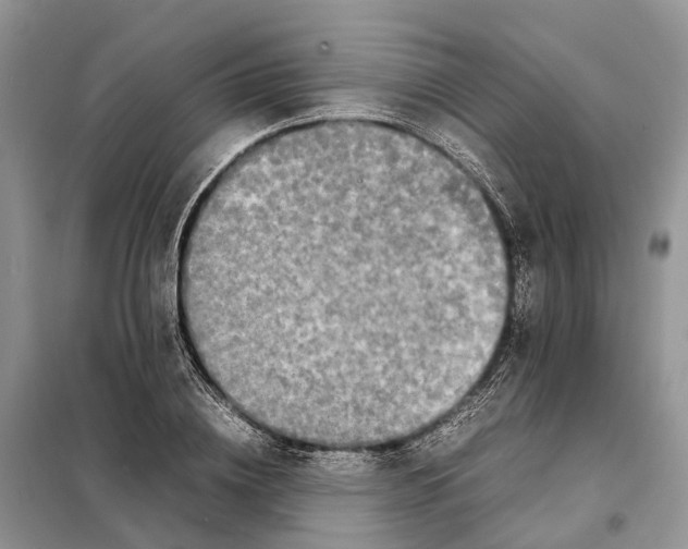 X0000098040836200804181254