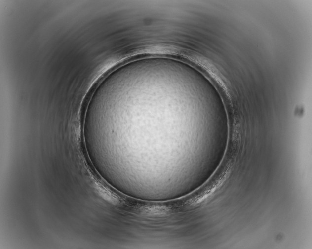 X0000098040837200804181254