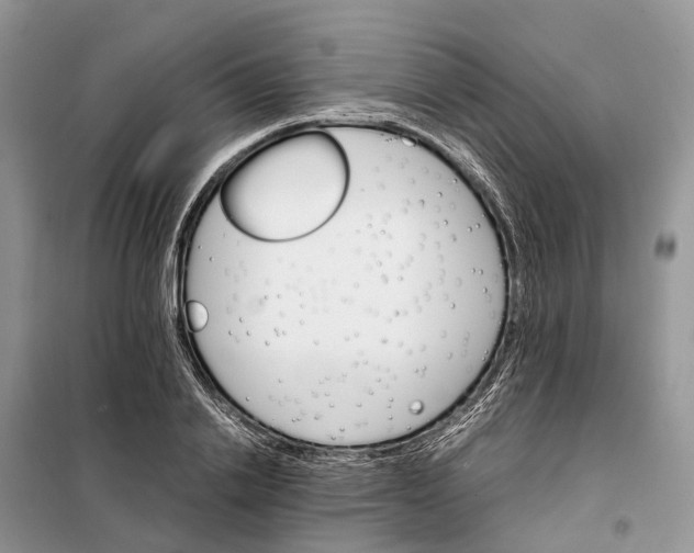 X0000098040838200804181254