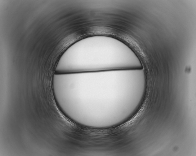 X0000098040841200804181254