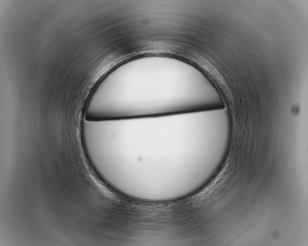 X0000098040842200804181254