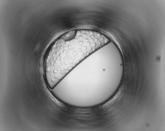 X0000098040843200804181254