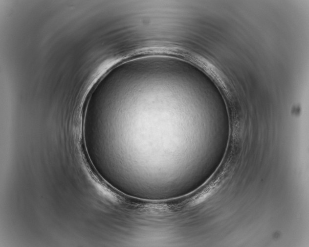 X0000098040844200804181254