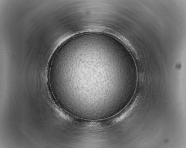 X0000098040846200804181254