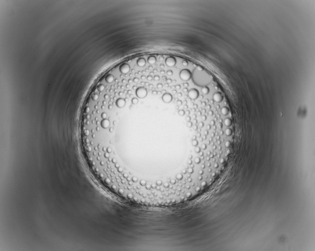 X0000098040848200804181254