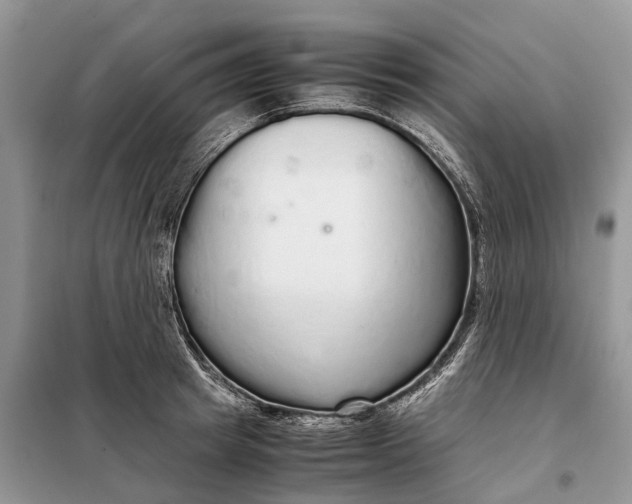 X0000098040849200804181254