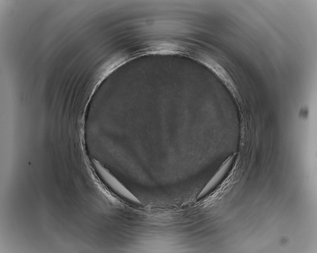 X0000098040850200804181254