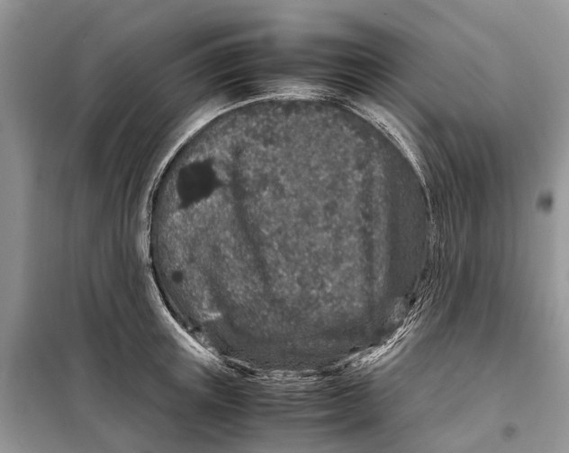 X0000098040851200804181254