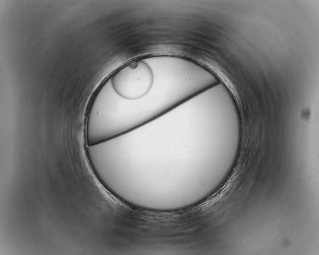 X0000098040853200804181254