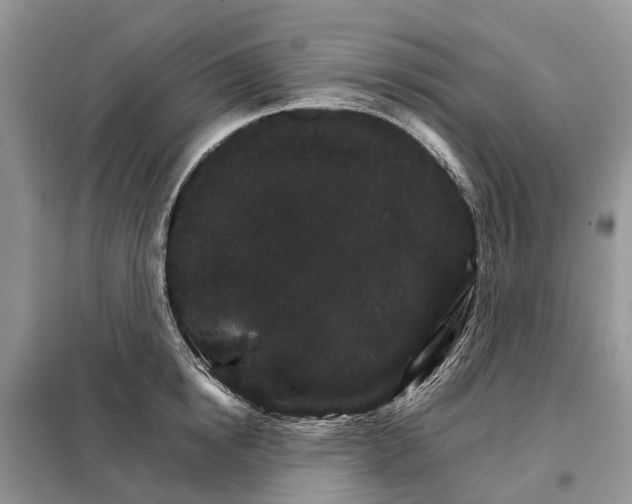 X0000098040854200804181254