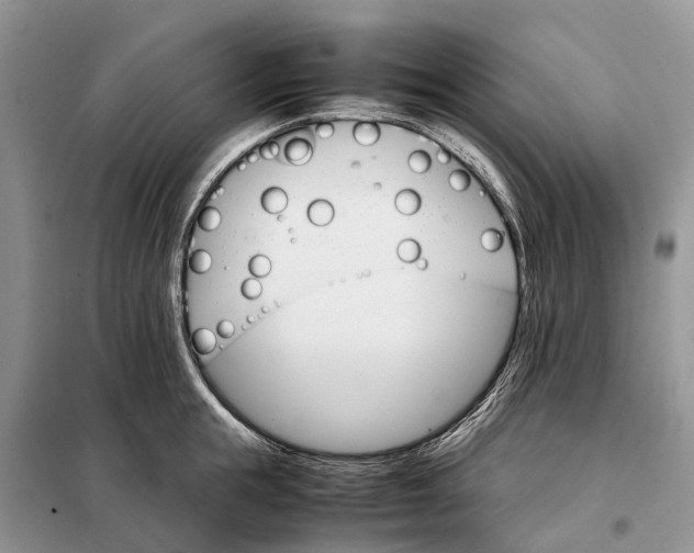 X0000098040855200804181254