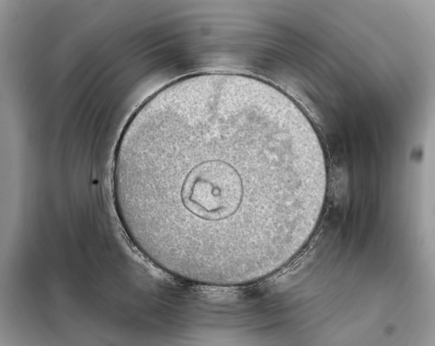 X0000098040856200804181254