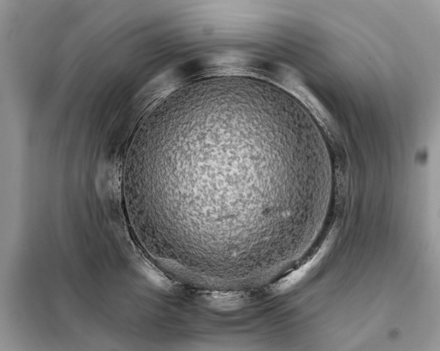 X0000098040857200804181254