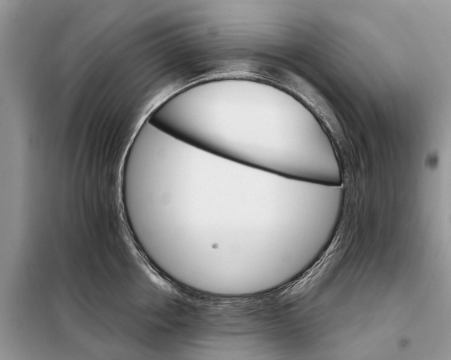 X0000098040858200804181254