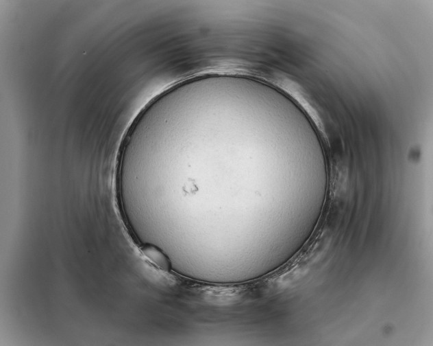 X0000098040861200804181254