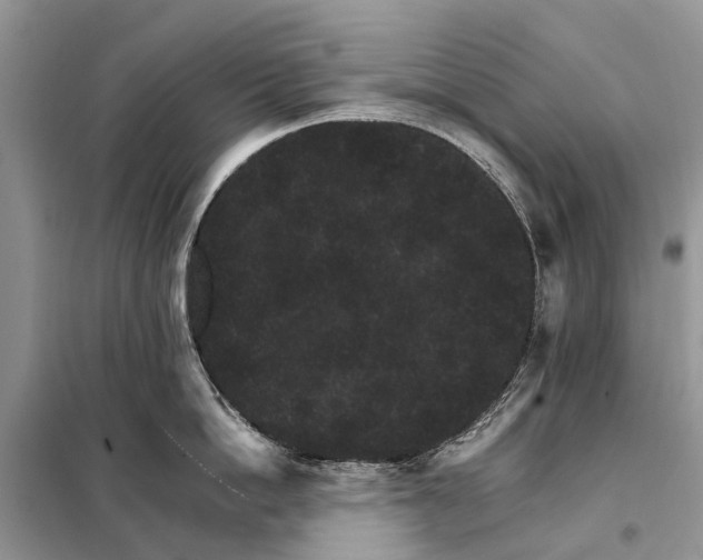 X0000098040862200804181254