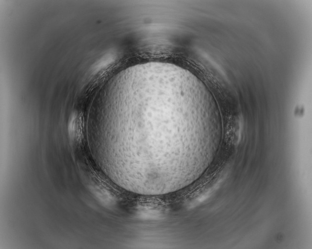 X0000098040866200804181253