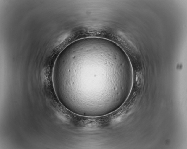 X0000098040867200804181253