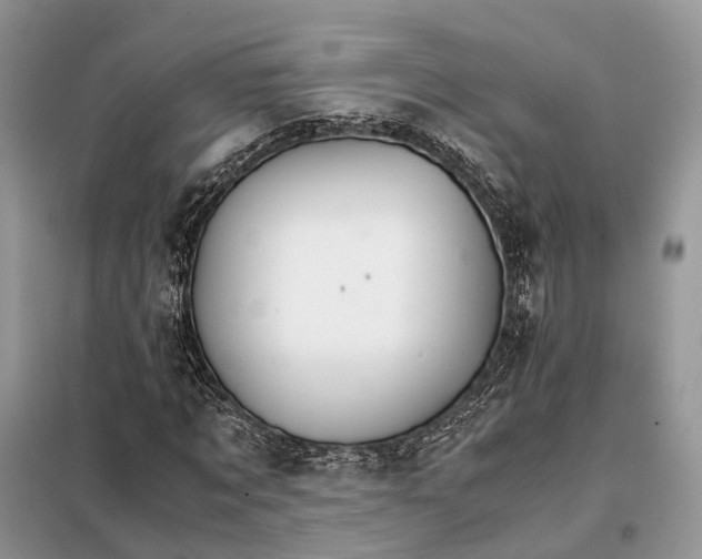 X0000098040869200804181253