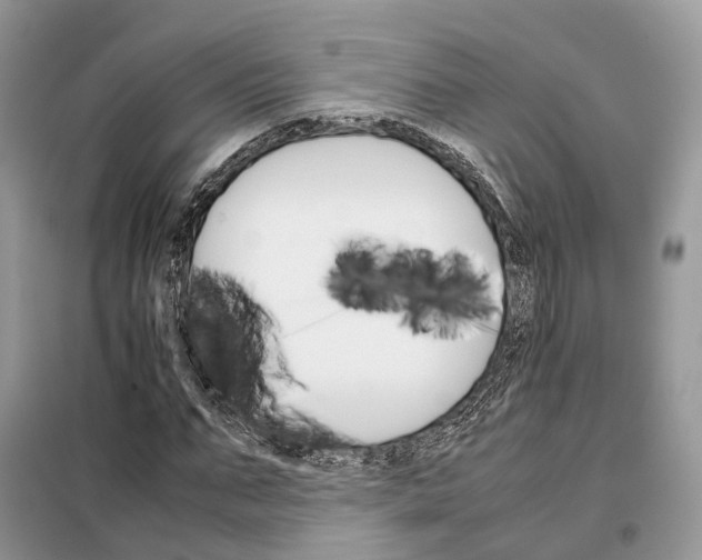 X0000098040871200804181253