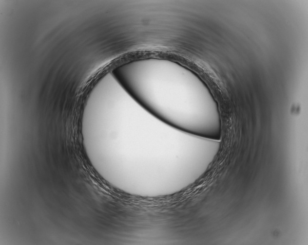 X0000098040872200804181253