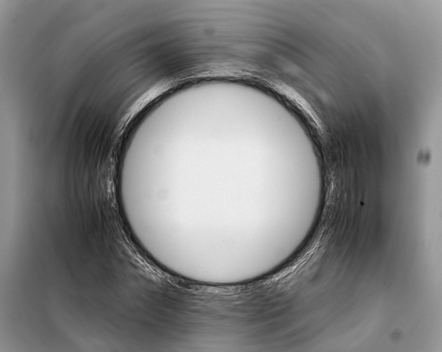 X0000098040874200804181253