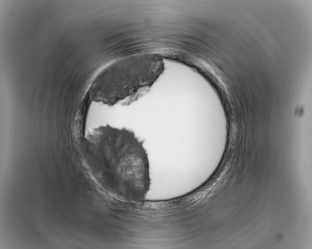 X0000098040875200804181253