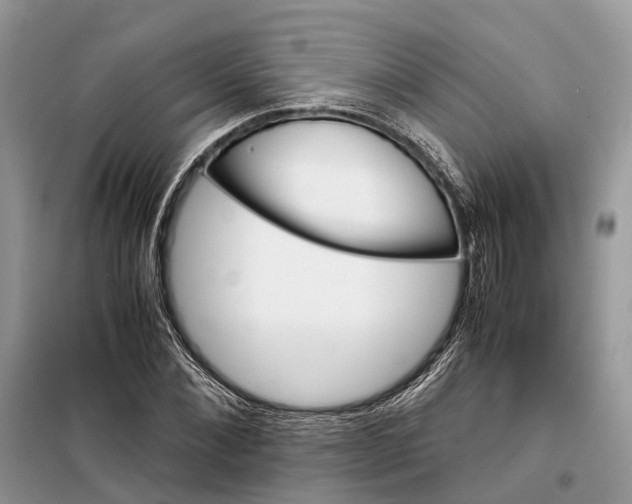 X0000098040876200804181253