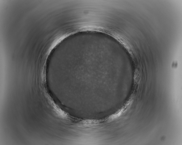 X0000098040877200804181253