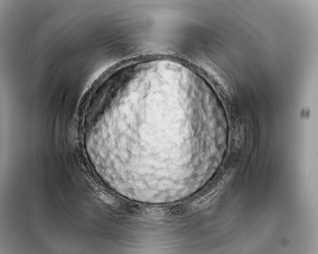 X0000098040878200804181253