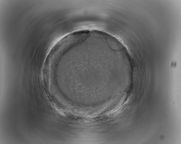 X0000098040879200804181253