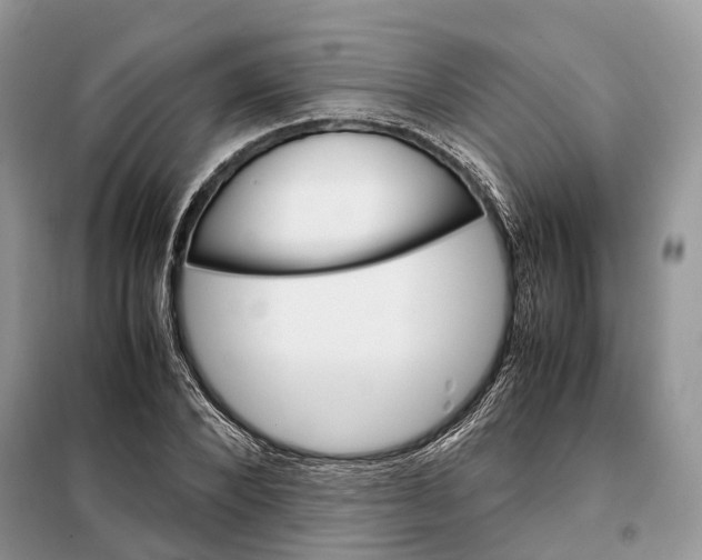 X0000098040880200804181253