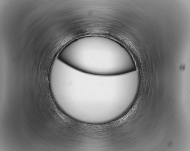 X0000098040881200804181253