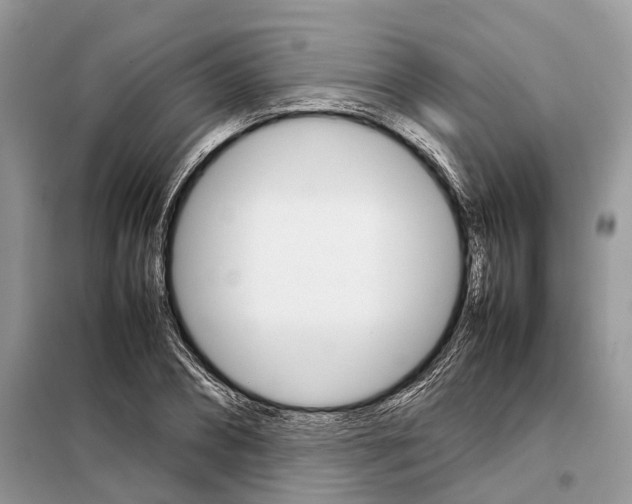 X0000098040882200804181253