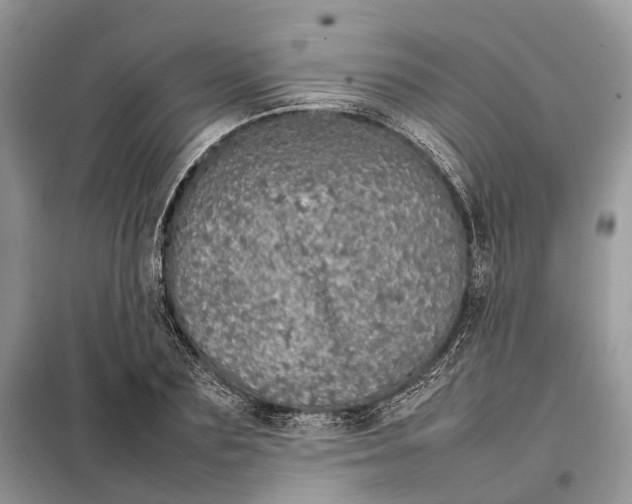 X0000098040883200804181253