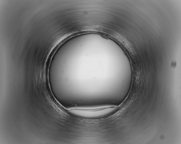 X0000098040884200804181253