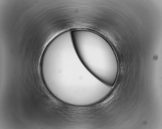 X0000098040885200804181253